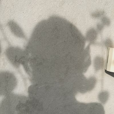 bauvie_may's profile picture. 