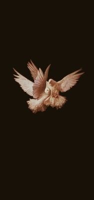 btsisseven777's profile picture. 