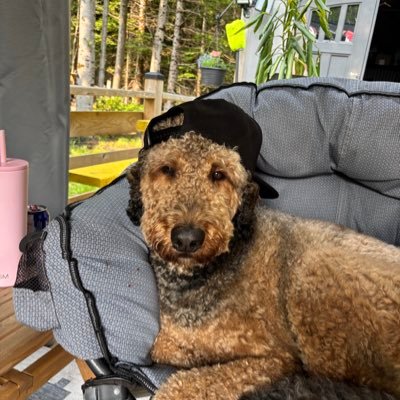 APaquet1977's profile picture. 