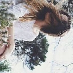 Iriejus325706's profile picture. 