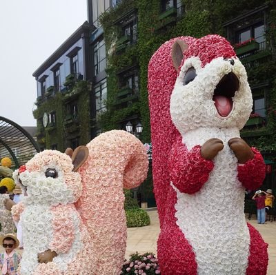 アニメグッズ&カード取引垢 麻央と燕グッズ中心に集めてます!
募集内容が同じ場合、同じ過去のツイート削除します。
都内手渡し◯郵送◯宜しくお願い致します!