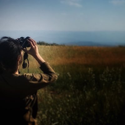 KaleliDilhun's profile picture. Bu hesap doğa ve kuş gözlemcisi olarak gördüğüm serbest dolaşan evcil kedilerin insan ve yabana verdiği zararları araştırmalar ve kayıtlar ile paylaşır.