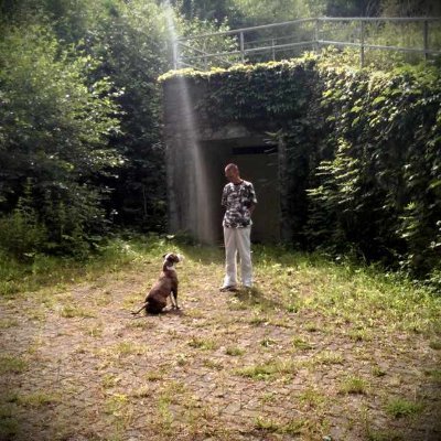Security Strategist | https://t.co/6ZPLwFVpd6 | Counter-Terrorism | Frm. AIVD Agent | Global Advocate for the #NRF | Author Al-Qaeda 2.0 | Transatlantic Intelligence Consort.