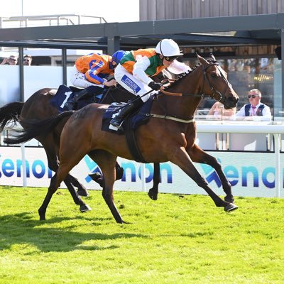 A couple of horses in training with Gary Moore. However, we are only Small Fry !
