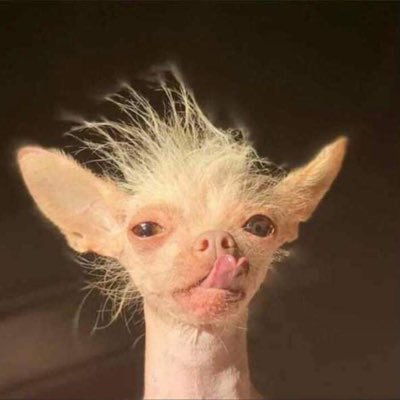 Prontoz's profile picture. what you see is what you get