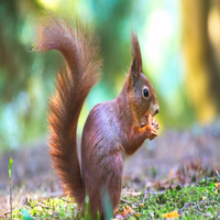 RoseJohnso15327's profile picture. Believer in being free-spirited and reliable. When not running my own e-commerce business, you'll find me enjoying networking, rollerblading, piano, academic re