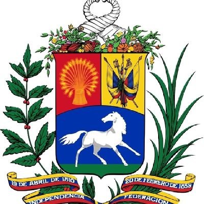Tiburón 🦈
Real Madrid