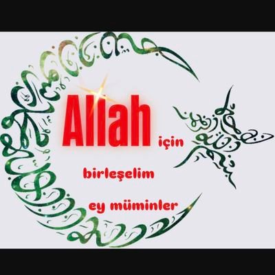 ﷽ لَا اِلَهَ اِلَّا اللهْ مُحَمَّدُ
الرَّسُولُ اللهْ
Ehl-i Hak Mezhebi/
Ehl-i Sünnet ve'l-Cemaat