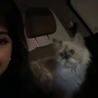 X (@x_irwiili) 's Twitter Profile