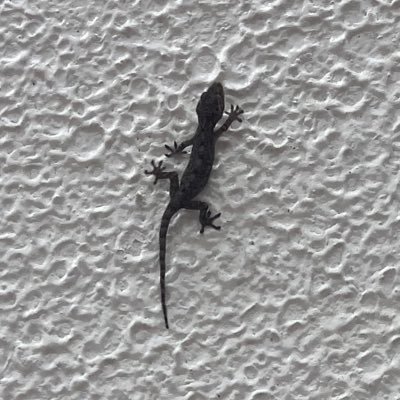 ixt_ua's profile picture. 