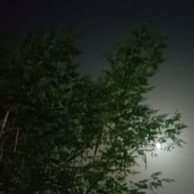 HamsAshraf42440's profile picture. 