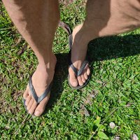 Findom Lecu's Feet (@lecusbrfoot) 's Twitter Profile