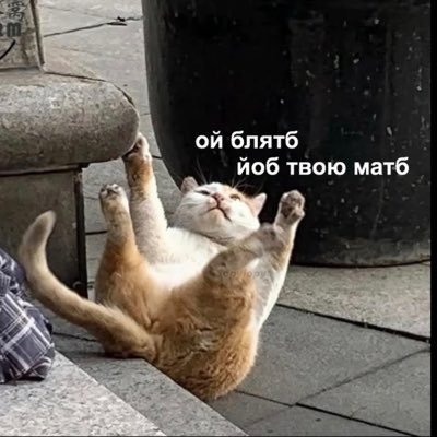 Kin74810643577's profile picture. Фанат довбойобів