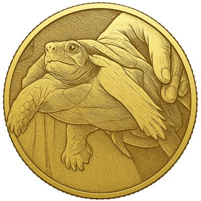 Burtle – The Bitcoin-to-Kaspa Turtle https://t.co/6E8HVXgt0D
