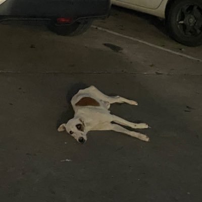 Glxsp08Mm's profile picture. 