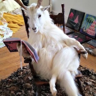 Nicolette_Cruzz's profile picture. LFGM