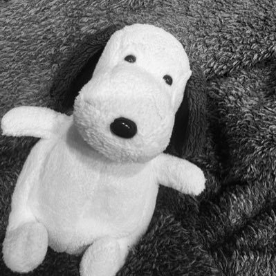 kina_wanwan's profile picture. 👩🏻(1991)👦🏻(2020) 🤰(2026.4.10予定)マタ垢ルール？なにそれ？仲良くしてください☺︎マタ垢さんフォローお気軽に☺︎無言フォロー失礼します。