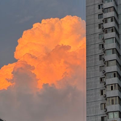 subkkkkkk's profile picture. 