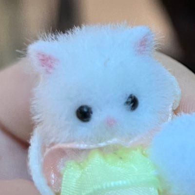 tariminchu's profile picture. 厳選垢とかではない スペース用