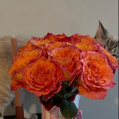 mrstashapascal's profile picture. 