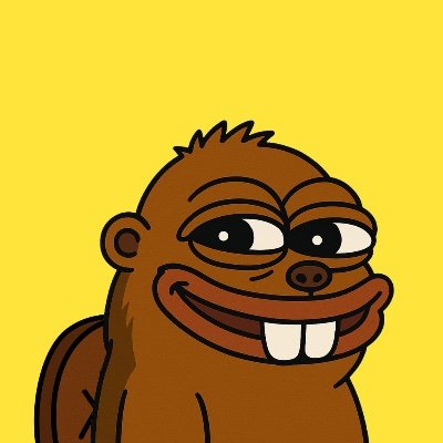 BEAVER_BNB's profile picture. 0xADaCd9D34b944427c136F20B3B6DC17295EeCB45