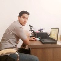 Dr.Hassan Ali د.حسن علي (@hassandr10997) 's Twitter Profile