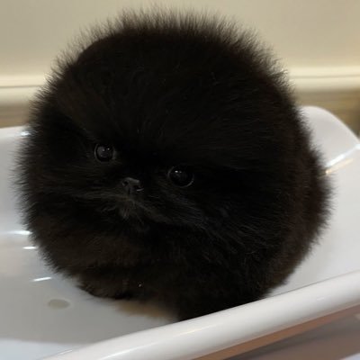 二葉ちゃんさんのプロフィール画像