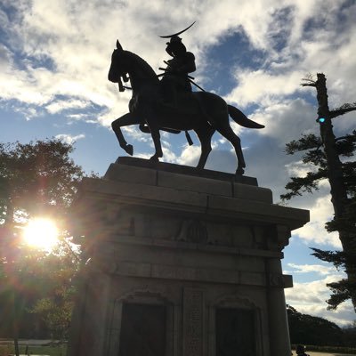 cookieshokora's profile picture. 
