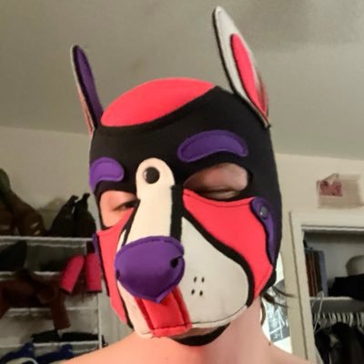 PupDi0nysus's profile picture. 22 | 🔞NSFW | 🏳️‍🌈 | Non-Binary, He/They | Dm-Friendly.