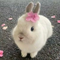 pim (@pnnrt19) 's Twitter Profile