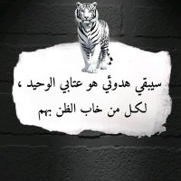 Mohsen Bentej (@bentejmohs3664) Twitter profile photo