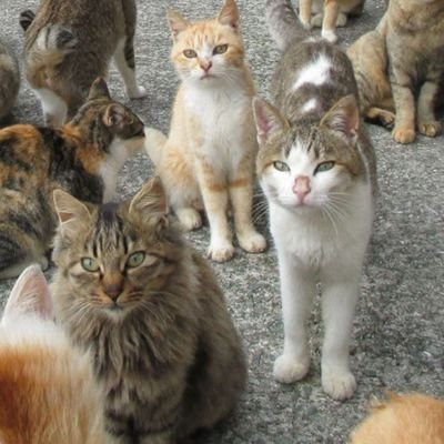 JohnLewis177035's profile picture. 🪖