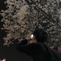先出しキノコ様@FX予想師 (@fx_ikinoko) 's Twitter Profile