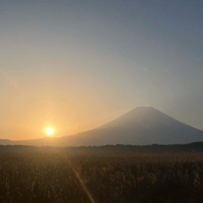 R8 財表 大原生 税理士受験生 通信生 || プライム上場で働きながらゆーったり税理士試験に挑戦中 ||