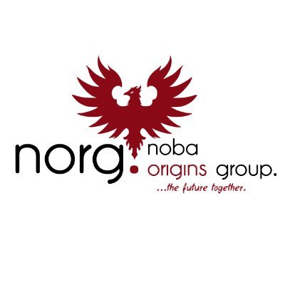 A proudly indigenous and truly African Natural & Built Environments Infrastructure | E&C | Concessions & Operations | Management & Related Services Group.