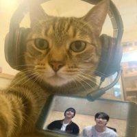 itsy3Bitsyspider (@back1t_up) 's Twitter Profile