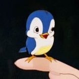 B_ye_r's profile picture. 천생연분이기 때문에 절대 싸울 일 없습니다