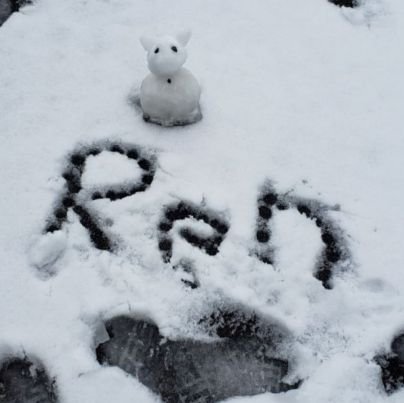 ren_58654's profile picture. 筑肥線線沿線民です。
松浦鉄道とはま寿司は良いぞ！MR607の目撃情報ください！(￣□￣;)!!