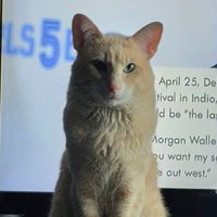 oscar (@clickkillmc) 's Twitter Profile