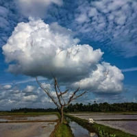 Kinjalk Lochan (@kinjalklochan) 's Twitter Profile