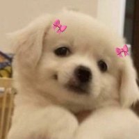 แพว ⋆˙⟡ ♡ (@ppbyprijw) 's Twitter Profile