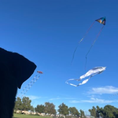AshwinAng's profile picture. 