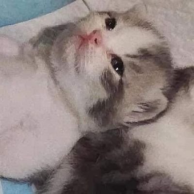 ขายขนมนำเข้าปลีก-ส่ง
https://t.co/aT7khG1ZEa
#สั่งของกับหนูกช