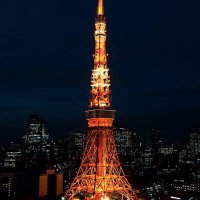 九太　FXトレーダー (@sun_06222) Twitter profile photo