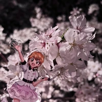 趣味垢なので日常ツイもします❕................ 20↑ 条件外など不快な行為、無言リプ消し等ブロック。