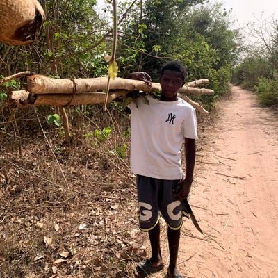 ThiagoJ664738's profile picture. 