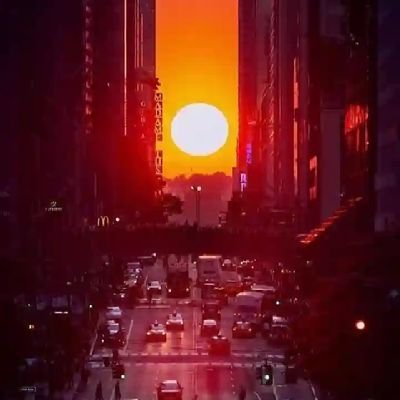Thealphaweal's profile picture. winning is about not giving up