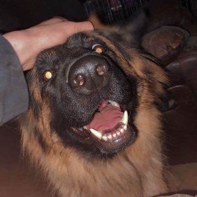 ThomasElli55019's profile picture. “Keeta’s technology is orders of magnitude more scalable and efficient than existing solutions” - Eric Schmidt.