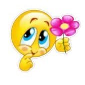 yerinekoyucam's profile picture. 