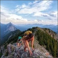 SuzanneAlbert (@k12f0eu4t347o) 's Twitter Profile
